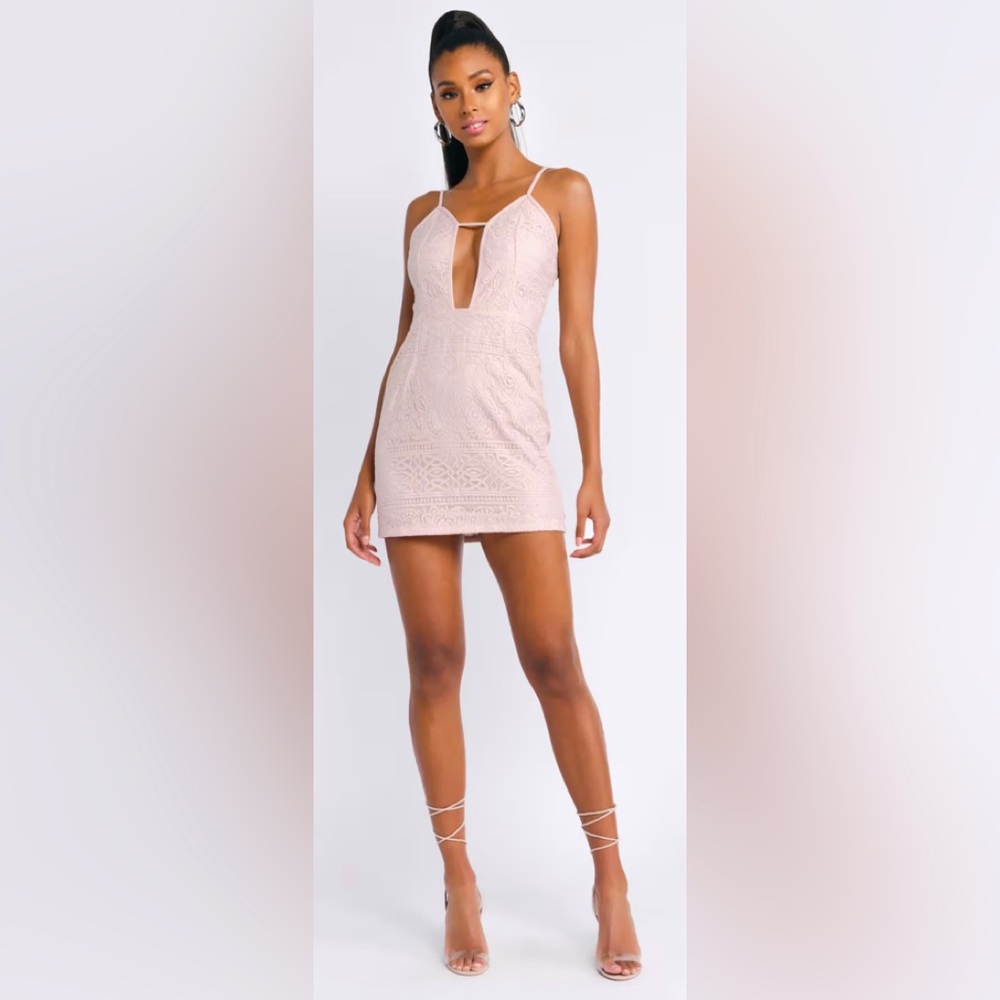 Tobi Out For The Day Plunging Bodycon Mini Dress in Rose.